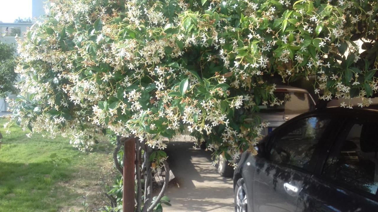 Appartamento Christinas Garden Patras Esterno foto